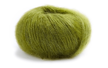 66 KIWI